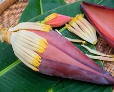 Cara Masak Jantung Pisang Untuk Ibu Menyusui